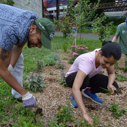 three people work in a garden