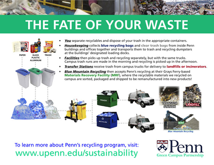 Fate of Your Waste