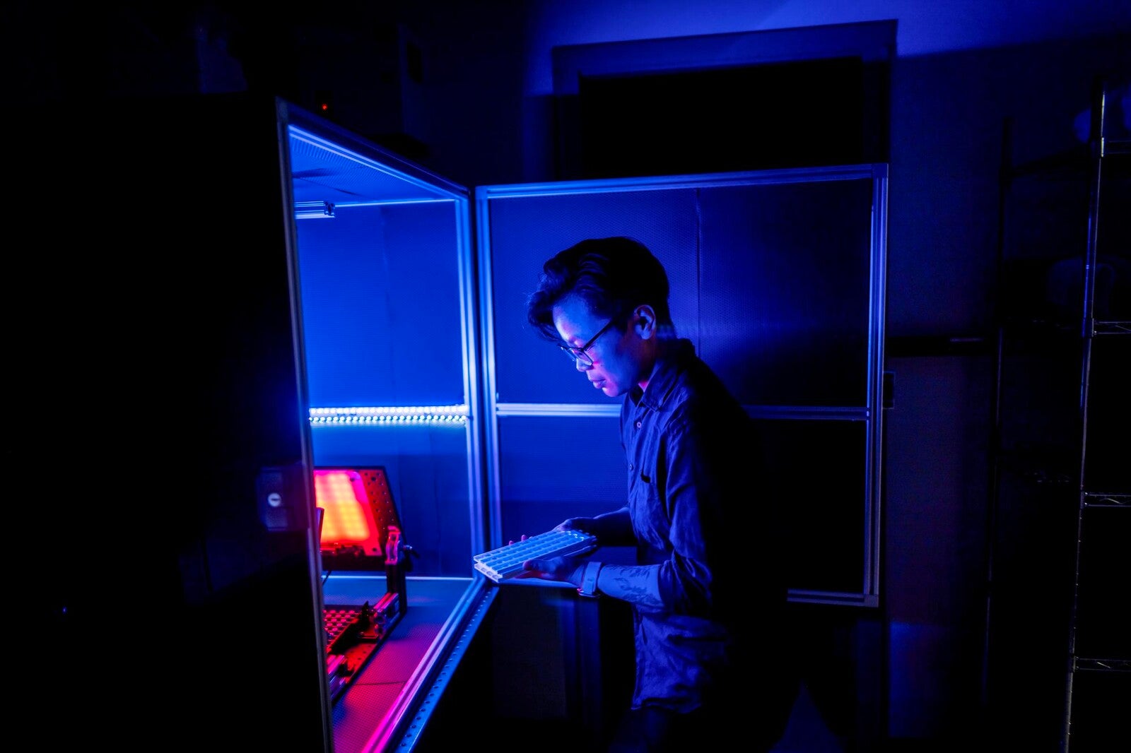 A researcher examines fruit flies in study chamber