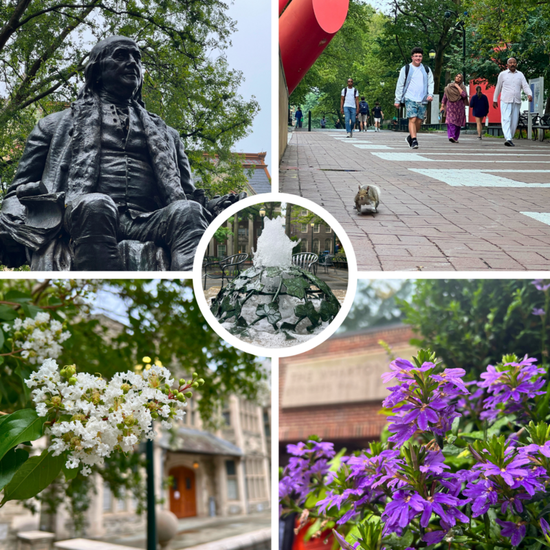 A collage of 5 photos of the university of Pennsylvania campus including a photo of a Ben Franklin Statue, A squirrel on campus, a water fountain, white flowers, and purple flowers.
